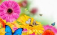 /album/fotogalerij/bloem-en-vlinder-jpg/
